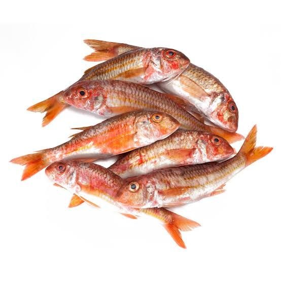 Poisson rouget 