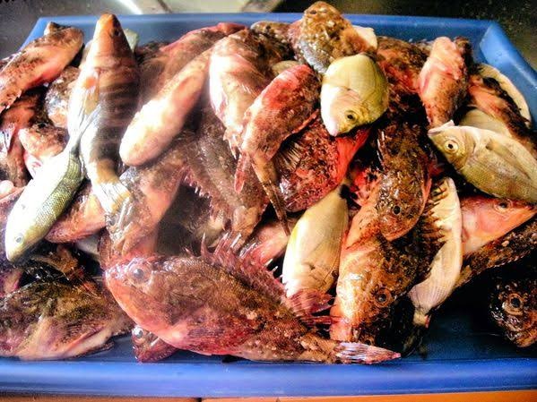 Mélange la soupe de poisson