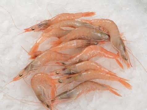 Crevettes blanche 